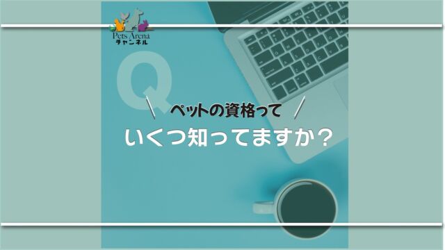 【ペットの資格】

こんなに沢山あるのを知っていますか？

・愛玩動物救命士
・犬の管理栄養士
・ペットロスケアマネージャー
などなど、まだ初めて聞くような資格がたくさんあるんです🐶

仕事や大切な我が子への知識をつけようと、今人気なんだそう🗒

 ペットアリーナスタッフも 皆んで取得しようっと！

＃ペット 
＃通信講座

#ペット 
#ペットフード 
#ペットホテル  
#ペットショップ 
 #ペットサロン 
#ペットと泊まれる宿 
#ペットショップに行く前に 
#犬好きな人と繋がりたい 
#犬スタグラム #犬と泊まれる宿 
#犬のいる暮らし  
#犬と猫のいる暮らし 
#犬好きな人と繋がりたい 
#猫 
#猫好き  
#猫写真  
#猫と暮らす 
#猫スタグラム  
#猫のいる暮らし  
#猫好きさんと繋がりたい 
#猫好きさんとつながりたい 
#動物保護 
#動物病院  
#動物愛護
#動物写真  
#動物好きな人と繋がりたい