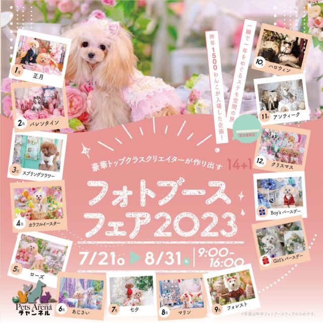 ペットアリーナとイチホテルとタッグを組んだ最大イベントが本日からスタートしました！！

ペットアリーナが選んだアパレルやフォトスタジオ・アプリまで盛りだくさん🎵

ぜひいらしてくださいね♪🐶😺
クリエイターによるブースも圧巻です！

＼日本最大規模の写真イベント！ブースーテーマ発表／

こんにちは！イチホテル浅草橋です🐶
前回のクリエイター発表ではたくさんの反響ありがとうございます🙌✨✨

お待たせしました❣️
フォトブースフェア2023　ブーステーマ発表です❣️

“イチ浅”セレクション
今、話題のクリエイターからレジェンド級まで。
13人のクリエイターの競演によるフォトブースの祭典。
大事なわが子の思い出を作るのはこの機会にしかありません😆

1月から12月＋男の子バースデー＋女の子バースデー
💗一瞬で1年を巡れる旅ラインナップ💗はこちらです▼

✎︎＿＿＿＿＿＿＿＿＿＿＿＿＿＿

💝【宿泊組スペシャル】
Lovely Japan by Sweety Home　
by空間スタイリスト yuchico(Event planning)
@yukichibisama
※宿泊組さんは早めに予約をお願い致します。
すでに満室の日程も出始めました💦

❤️1月【お正月】
Japanese New Year‘s Day『The 和』
by hfmama(Producer） @hfmama5553

❤️2月【バレンタイン】
Sweet Valentine
by Maison de RubanオーナーYumi (Special Contributor)
@maison_de_ruban

❤️3月【ひな祭り】
雛祭り
by Ai
@ai_natsu2021

❤️4月【春のピクニック】
Spring picnic
by Sweety Home 空間スタイリスト yuchico(Producer/event planning)
@yukichibisama

❤️5月【こどもの日】
nanairoなこどもの日
by studio716 オーナーsatomi
@stu.dio716

❤️6月【梅雨】
rainy day
by 綾瀬みか @ayase_mika

❤️7月【夏】
Popping Summer
by HanBunLong studio
@hanbunlong_studio

❤️8月【海】
竜宮城
by MEGUMI @anemone_anniversary

❤️9月【秋】
秋麗(あきうらら)
by WanChaiStudio
@dog.small.garden.koniwan

❤️10月【紅葉】
水鏡・紅
by PASHA²
@pasha2_atelier pasha_atelier

❤️11月【読書の秋】
ホンノモリ〜imaginary world
by Towa no＊mori
@towa_no_mori

❤️12月【クリスマス】
パステルフェミニン クリスマス
by hfmama(Producer)
@hfmama5553

❤️【Boy's バースデー】
FlowerParty
by IZUMI
@rii_and_alt

❤️【Girl's バースデー】
Fleur rose
by yumi
@candypink.photo

13名の豪華クリエイター陣の世界観が楽しめるイベントはココだけ😍
わんちゃんも疲れちゃうので外来組は数回に分けて是非お越し下さいね😊

今年の夏はお気に入りのお洋服を持って“イチ浅”へ💓💗💓💗🙌✨✨

#愛犬と泊まれるホテル #ドッグフレンドリーホテル #icihotelasakusabashi #ezodeli #イチホテル浅草橋 #わんこと泊まれるホテル #犬と泊まれるホテル #愛犬とお出かけ #フォトブース #わんこ部 #わんこのいる暮らし #いぬすたぐらむ #わんちゃん #わんこカメラ部 #いぬとおでかけ #ドッグイベント東京 #ドッグイベント東京 #フォトブースフェア　#イチアサ #フォトブースフェア2023 #14のフォトブースフェア