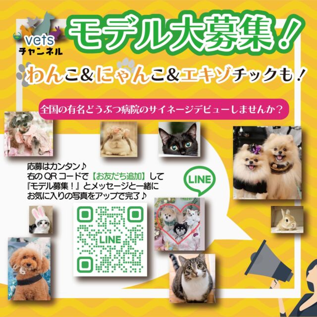 【ペットアリーナサイネージ公式】
モデル大募集！のお知らせ
わんこ＆にゃんこ＆エキゾチックも！
しかも毎月開催！🐶😺🐰

全国の有名どうぶつ病院のサイネージデビューしませんか？

応募方法はかんたん！
①インスタをフォロー

②LINE公式【友だち追加】して　
『モデル募集！』とメッセージと一緒に
お気に入りの写真をアップで完了♪

ペットアリーナスタッフが厳選し、
サイネージデビューさせちゃいます♪

配信されている様子などはリールでお知らせします♪🐶😺🐰

ふるって応募くださいネ♪