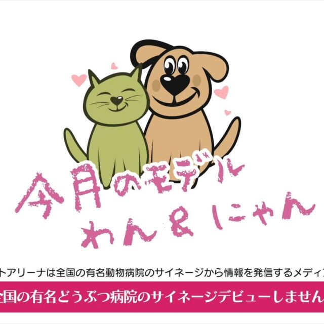 ⭐️🐶今月のわん＆にゃん😺⭐️

飼い主さんのリクエストから始まったこの企画に全国から多数の応募をいただきありがとうございます！！

ペットアリーナスタッフで話し合い、素敵なわん＆にゃんのみなさんを1ヶ月で入れ替えてしまうのももったいない！ということで延長配信決定です⭐️

⭐️🐶今月のわん＆にゃん😺⭐️わん＆にゃんたちが全国の有名動物病院から配信されています🎬
大切な我が子の病院サイネージデビューを見たい方はぜひお近くのかかりつけの病院へ行ってみてくださいね♪

※ペットアリーナサイネージを導入されている病院に限ります。
🔴ペットアリーナは全国の独自に選りすぐった【有名な動物病院】のみに特化し、待合室のサイネージからお役立ち情報配信を行っているメディアカンパニーです。

#モデル犬募集 #モデル猫 　#モデルうさぎ
#ペット #ペットフード #ペットホテル #ペットショップ #ペットサロン #ペットと泊まれる宿 #ペットショップに行く前に #犬好き #犬スタグラム #犬と泊まれる宿 #犬のいる暮らし #犬服ハンドメイド #犬と猫のいる暮らし #犬好きな人と繋がりたい #猫 #猫好き #猫写真 #猫と暮らす #猫スタグラム #猫のいる暮らし #猫好きさんと繋がりたい #猫好きさんとつながりたい #動物 #動物病院 #動物愛護 #動物写真 #動物好きな人と繋がりたい